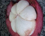 Mangosteen
