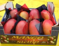 Mango 11